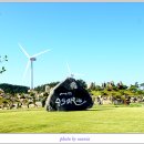 1004섬수석미술관 이미지