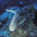 동국대학교사범대학부속고등학교 이미지