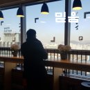 홍수환 스타복싱 이미지