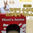 봄이랑 | 토끼지만 봄이도 좋아하는 고양이 우유팩 스크래쳐 숨숨집