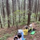 가평산속요양병원 이미지