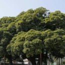 명성개발