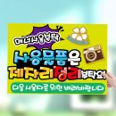 스튜디오피오피 이미지