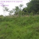 월영동108 이미지