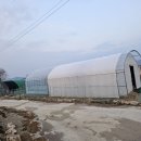 토지농장 이미지