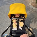 엠엔티 | 대구 월성동 카페 엠엔티 버터떡 먹으러 간 후기