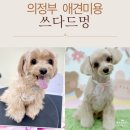 쓰다드멍 이미지