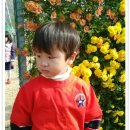 007-문산-007 이미지