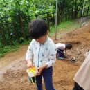 자연숲 유치원 이미지