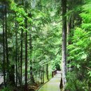 델피노 사우나 이미지