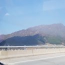 중리테마파크 | 포천 [중리테마파크낚시터] 후기 + 조황 !!