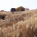 파주골이동갈비 이미지