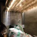 청춘 | [대구/범어동] 삼겹살 맛집 “청춘삼겹살” 후기