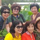 능곡초등학교 이미지