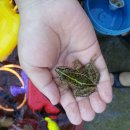 청운인성수련원 이미지