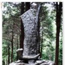 반추된 힘 이미지