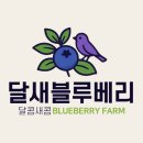 고건농장 이미지