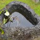 영미목장 이미지