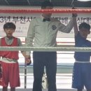 대성권투체육관 이미지