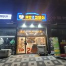 개밥파는고양이두정점