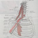 누리담한의원 이미지