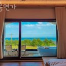 제주도펜션 태흥연가 국내여행떠나고 싶을 때 가성비 숙소 가격 위치 후기