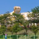 양서·파충류생태공원 주차장 이미지