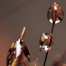 앤드류(ANDREW) 이미지