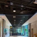 비바체레스토랑 이미지