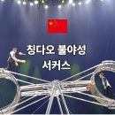 불야성 - 영광군 굴비로 80-1 | 칭다오 불야성 서커스 공연 일정 확인방법 관람 후기