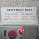 동양유치원 | 동탄 애견카페 애견호텔 애견미용까지 한 번에 즐길 수 있는 너를위한카페 방문 후기