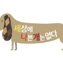알로하도그 네이버블로그