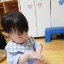 나무반 로션을 문질 문질 이미지