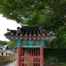 박진 효자비 이미지