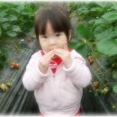 세은농장 이미지