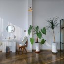 바다로 가는 길목 | [카페드하리] 안면도 가는 길목 편안한 감성 카페 (충남 홍성군)