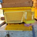 상주중앙양봉원 이미지