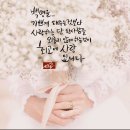 참좋은인연 - 북구 금곡동 | 참좋은인연