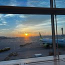 양지-2851 이미지