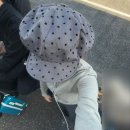 우리들마트 | 도쿄 팝마트 3곳 비교｜하라주쿠·이케부쿠로·나리타공항 후기 &amp; 재고·가격 총정리