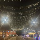 파인오토정비 | 서울근교글램핑 남친이랑 김포한강오토캠핑장 알록달록 캠크닉 다녀온 찐후기