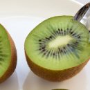 늘푸른건강마을 이미지