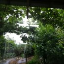 법수민박 이미지