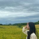 아신당 이미지