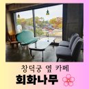 여유로운 | [카페] 창덕궁이 내려다 보이는 풍경 맛집 "회화나무" 여유로운 방문 후기