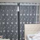 코디커텐 이미지