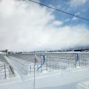 냠냠 맛있는 영어요리 | [신혼여행4일차] 삿포로 비에이투어 코스 준페이 새우덮밥 새우카레 맛집