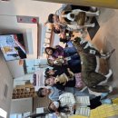 경상북도교육청 울릉도서관 이미지