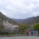 연석산&숲 이미지