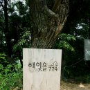 해잊을779